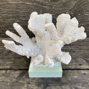 White Decorative Coral Sculpture on Mint Base